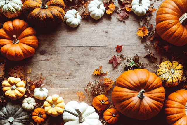 Thanksgiving Themed